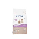 Spectrum Cat Dry Food Kitten 400g