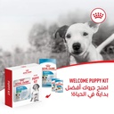 Royal Canin Mini Puppy kit 800g