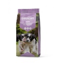 Cebican Dog Dry Food For Puppy 20kg