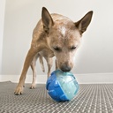 Kong Dog Toy Treat Rewards Ball Large