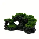 Fish Tank Algae Rock