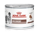 Royal Canin Cat & Dog Wet Food Recovery 195g