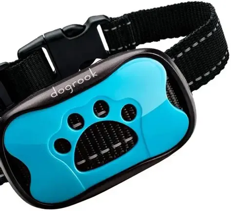 Dog rook Collar park control