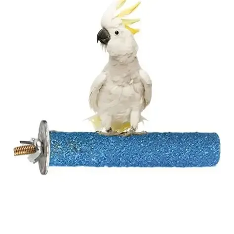 stick cage with parrot