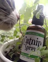 Cat Hygienic Catnip Spray