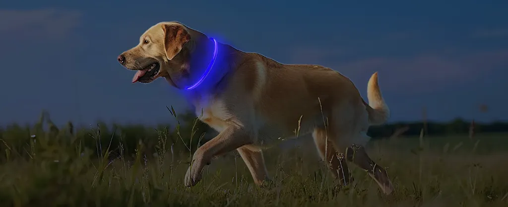 Rechargeable flashing collar 70cm