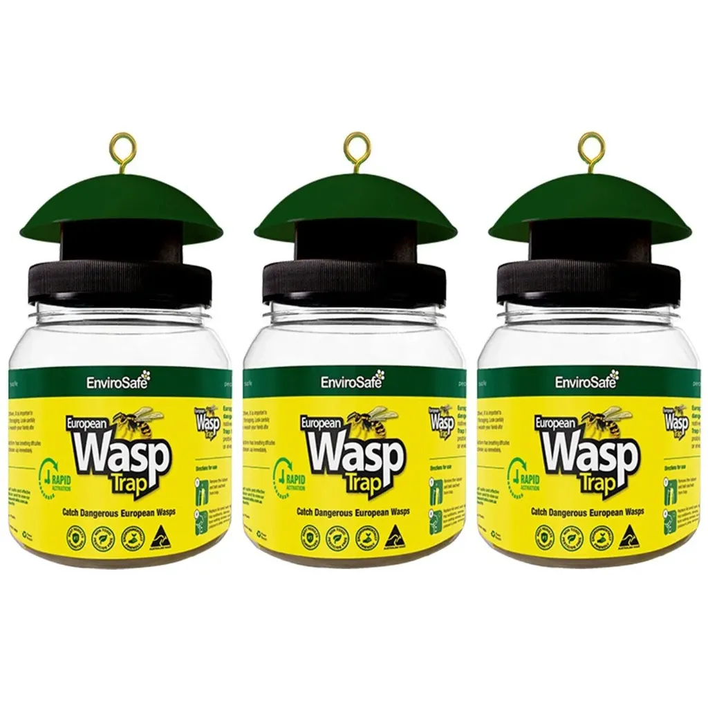 The ultimate wasp traps