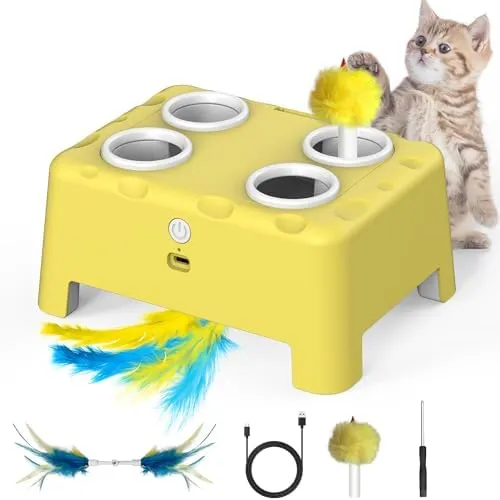 Magic Electric Cat Toy in The Shape of a Box