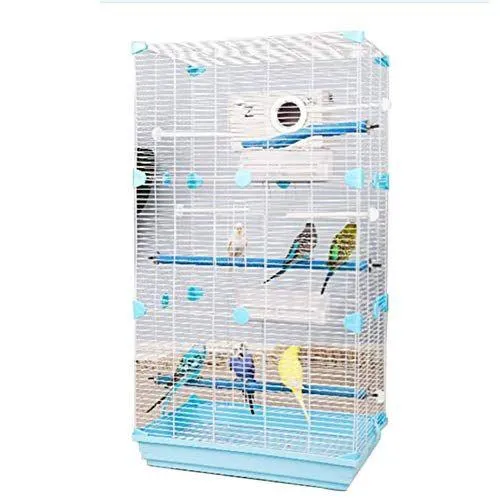 Bird Cage 2 Floor