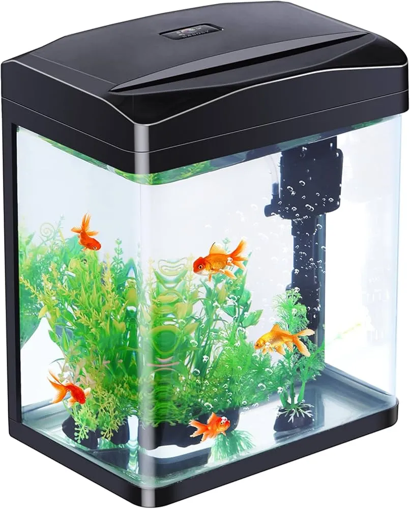 Mini Fish Tank