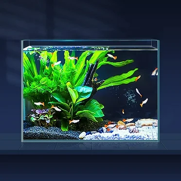 Mini Fish Tank S