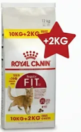 Royal Canin Cat Dry Food Regular Fit 32 10kg