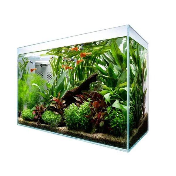 Fish Tank M