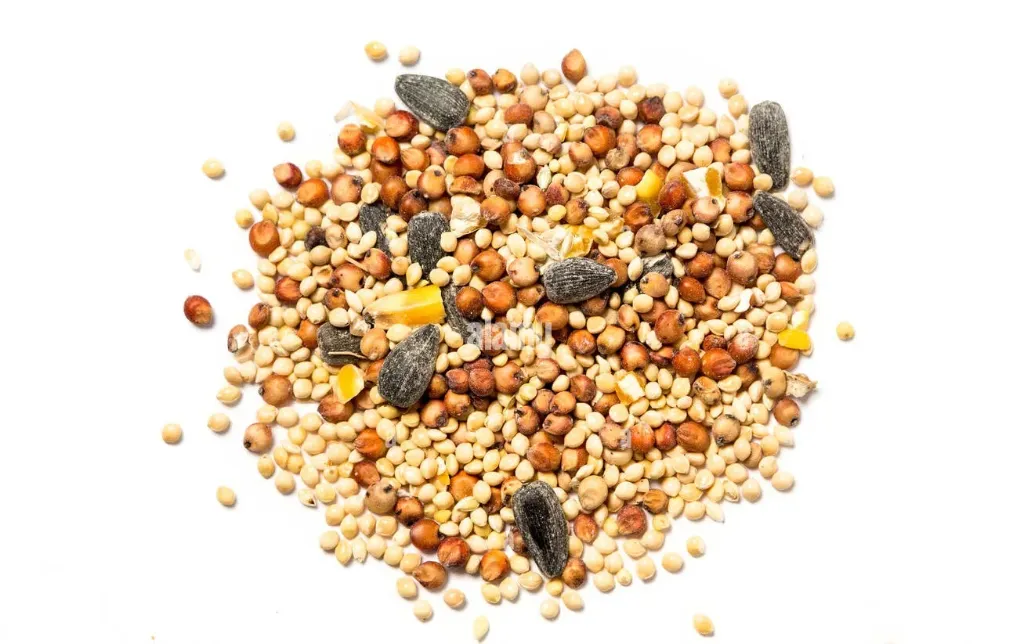 .طعام الطيور 500 غرام