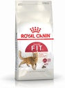 Royal Canin Cat Dry Food Regular Fit 32 400g