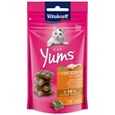 VitaKraft Yums Cat Treat Chicken & Cat Grass 120g