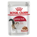 رويال كانين إنستينكتيف في مرق اللحم - 85 غرام