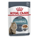 Royal Canin Cat Wet Food Hairball Care In Gravy 85g